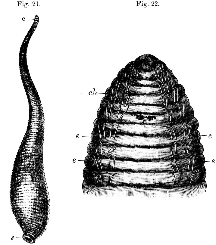 Fig. 21. Fig. 22.