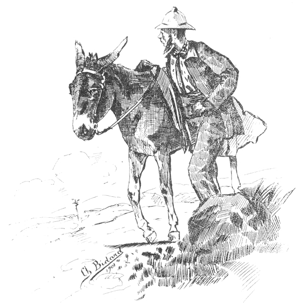 Stevenson et son âne