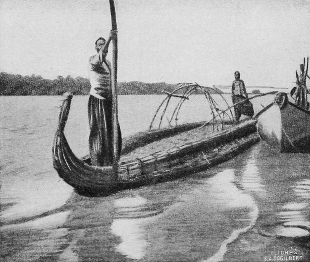 Papyrus Boat on Lake   Tchad