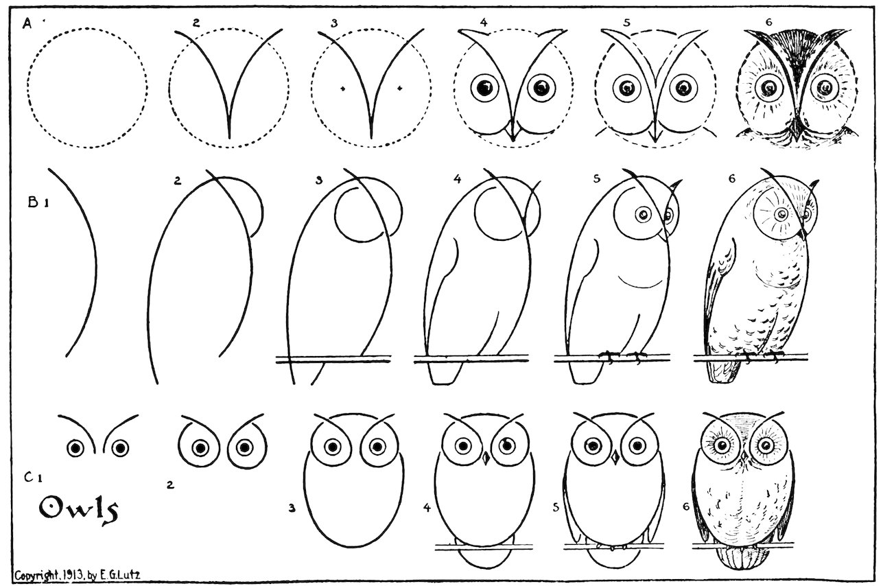 Owls