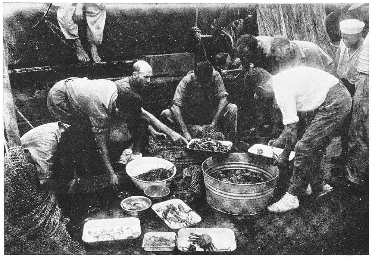 Inspecting a Deep-Sea Haul.