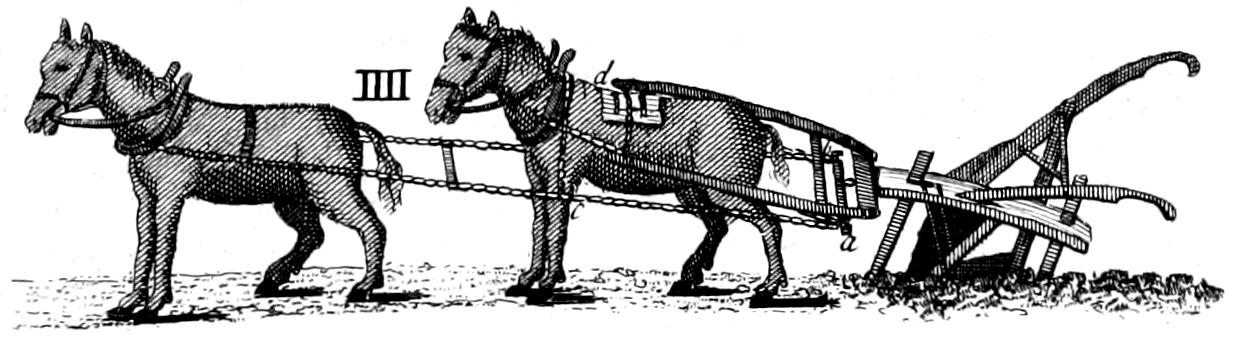 Hoe plough with draught horses