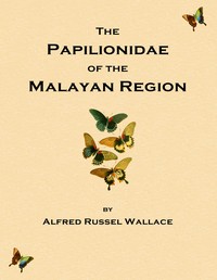 On the phenomena of variation and geographical distribution as illustrated by the Papilionidae of the Malayan region, Alfred Russel Wallace