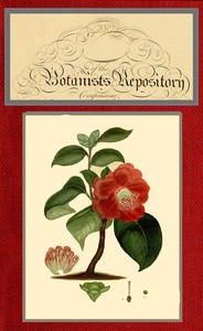 The botanist's repository for new and rare plants; vol 9 [of 10], active 1799-1828 Henry Cranke Andrews