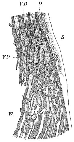 Fig. 13.