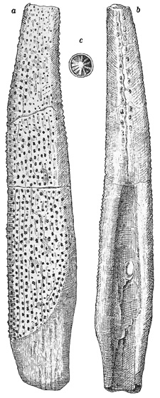 Fig. 92.