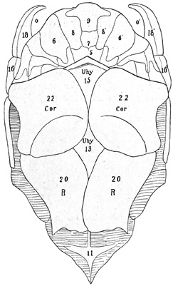 Fig. 139.