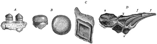 Fig. 195.