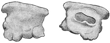 Fig. 249.