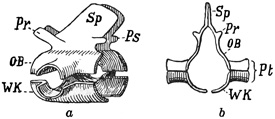 Fig. 267.