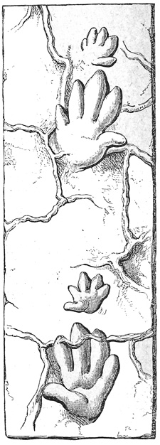 Fig. 309.