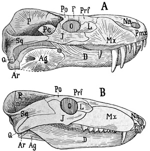 Fig. 329.