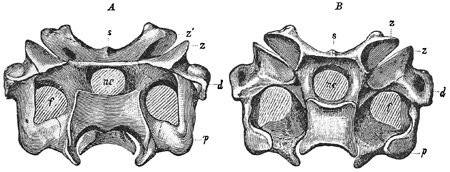 Fig. 457.