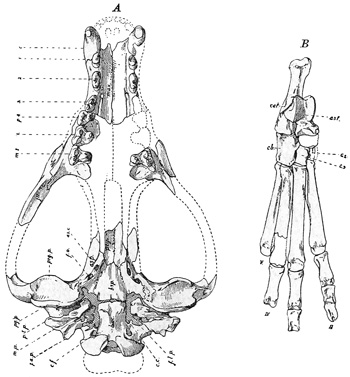 Fig. 541.