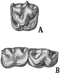 Fig. 608.