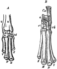 Fig. 671.