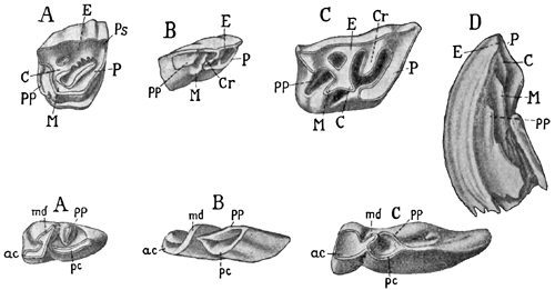 Fig. 707.