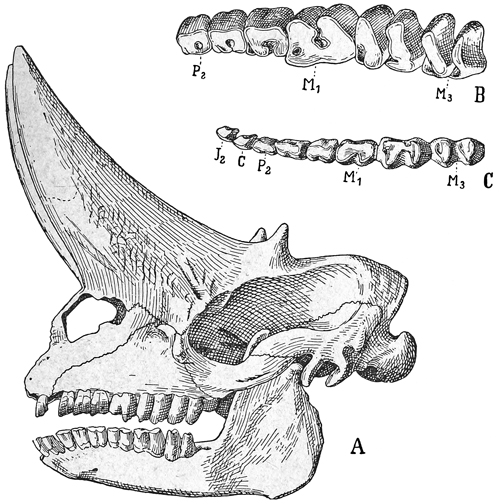 Fig. 723.