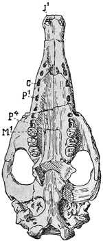 Fig. 737.