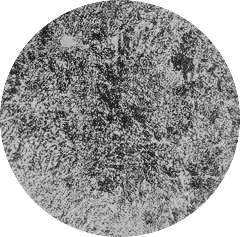 The magnified sectional view of a eutectoid                 steel rod is characterized by finely distributed structures.