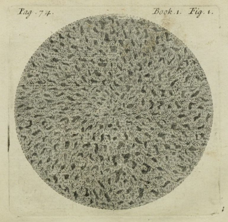 A confused spherical Mass of matter.