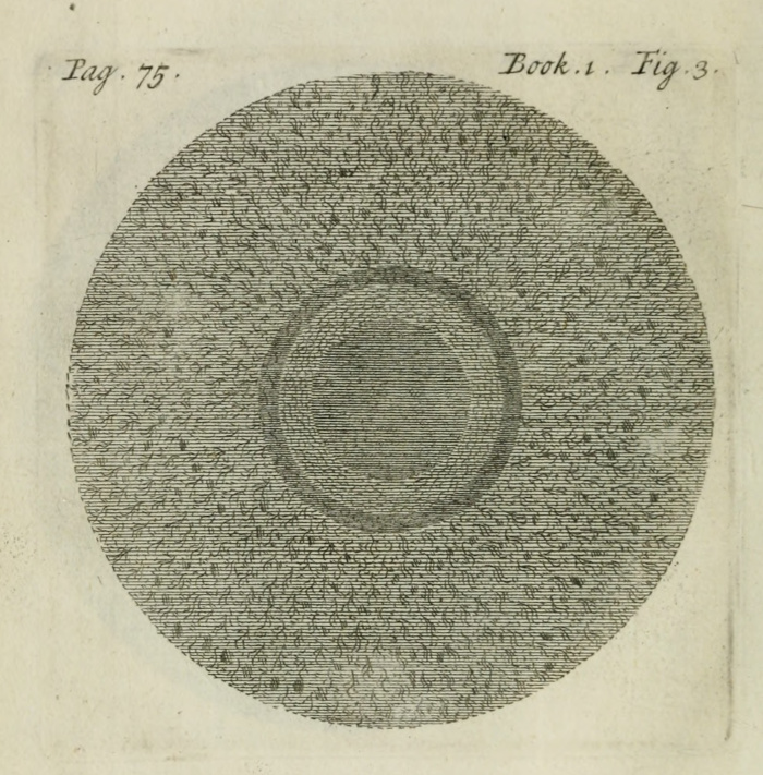 The concentric spheres with heavy matter inner-most, with heavier and the lighter liquids in spheres above.