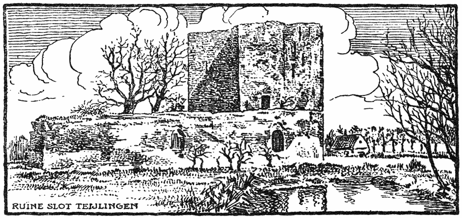 RUÏNE SLOT TEIJLINGEN