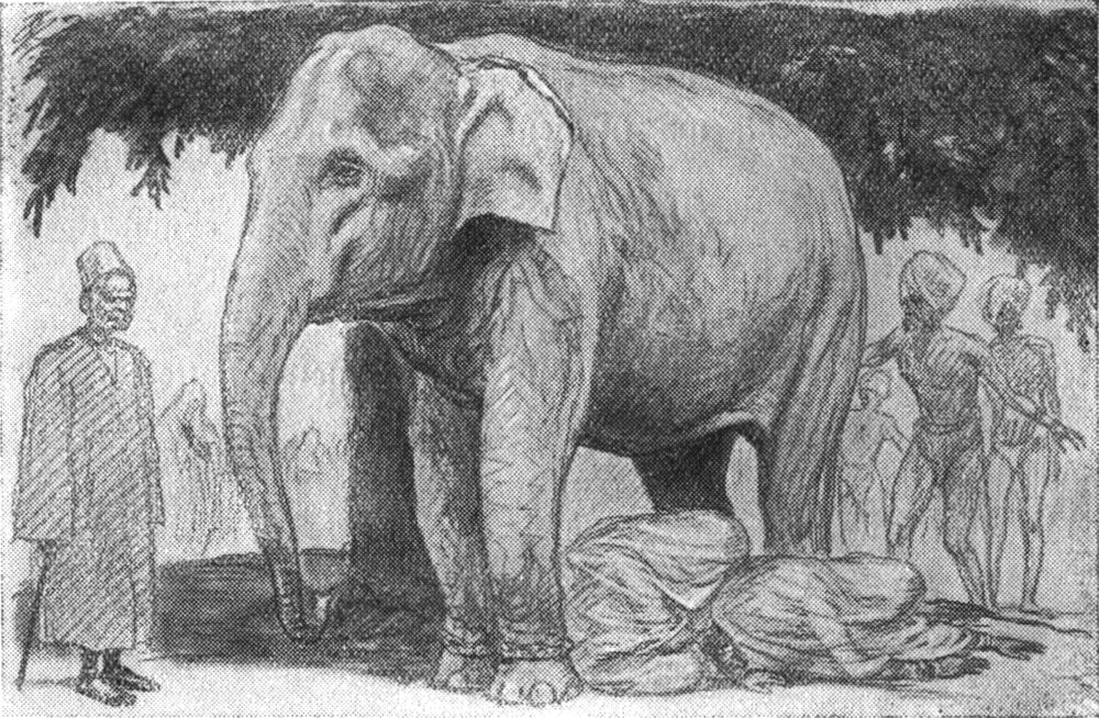 Indische Frauen kriechen unter   einem Elefanten hindurch