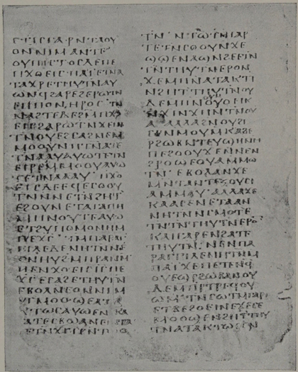Plate VIII: Sahidic Manuscript, probably of the fifth century, in the British Museum.