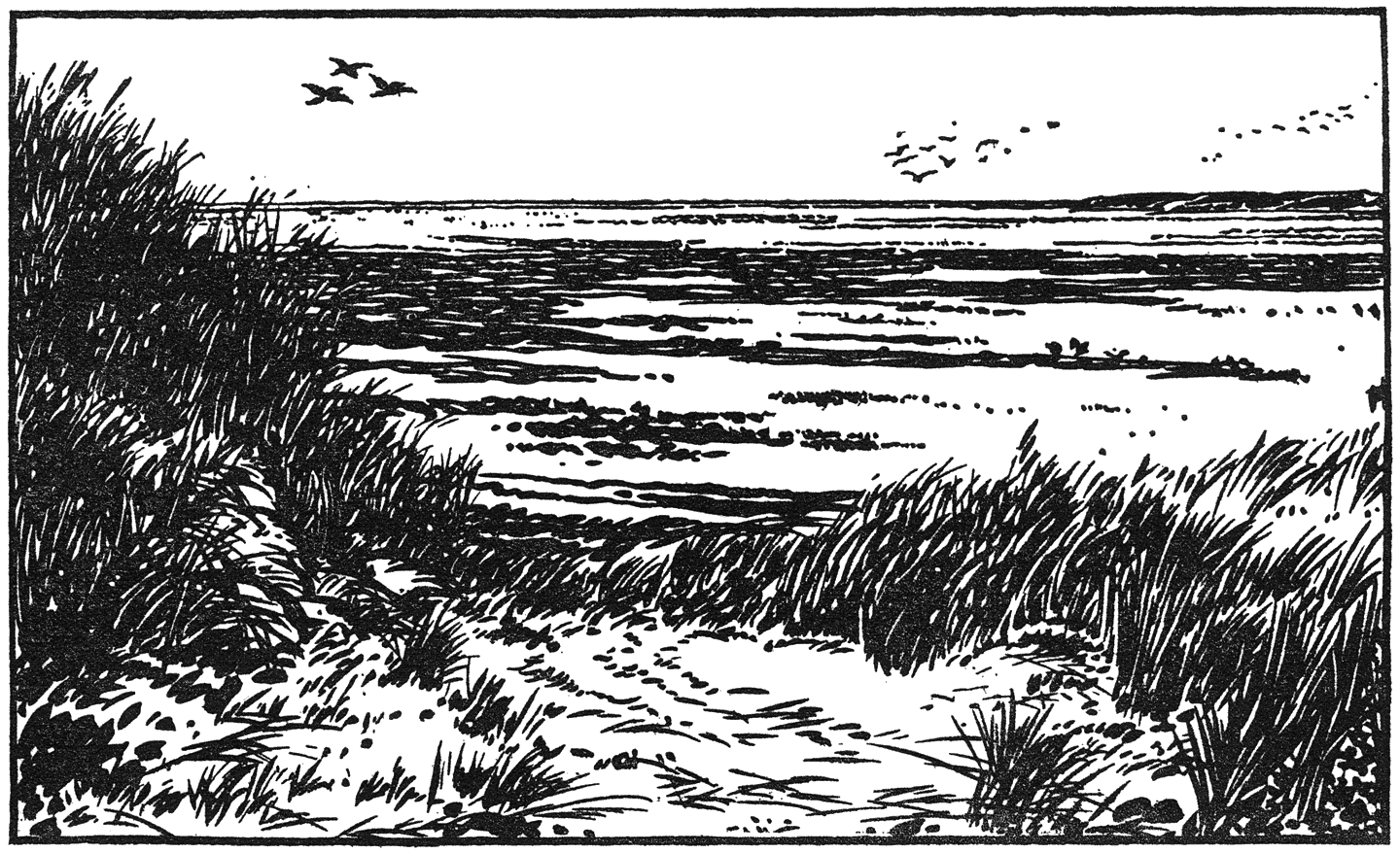 DE EERSTE KENNISMAKING