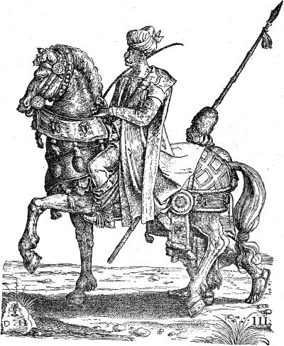 Szulejmán szultán arcképe.