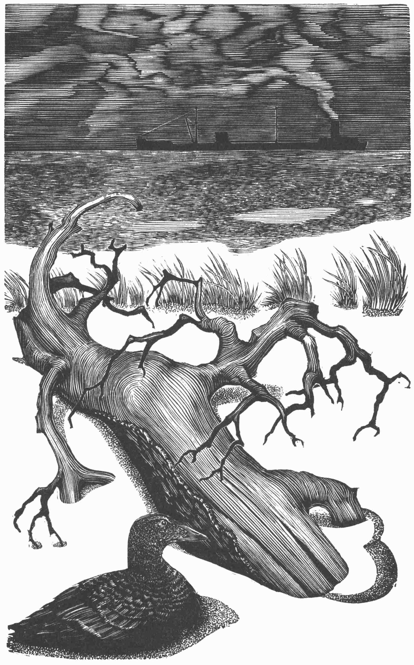 Tanker Ship and Oiled Duck