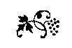 drawing of a grape cluster and leaves