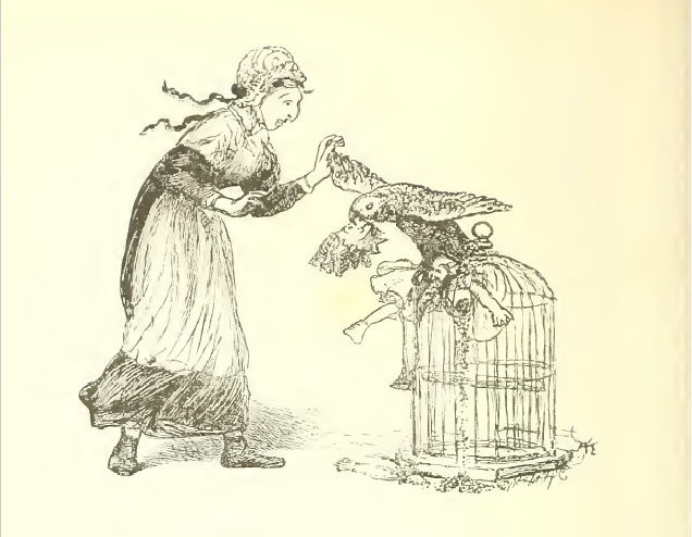 I have a Poll parrot