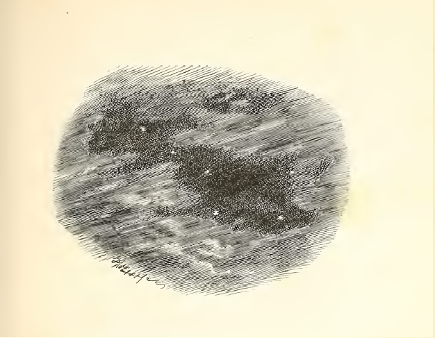 What do the stars do