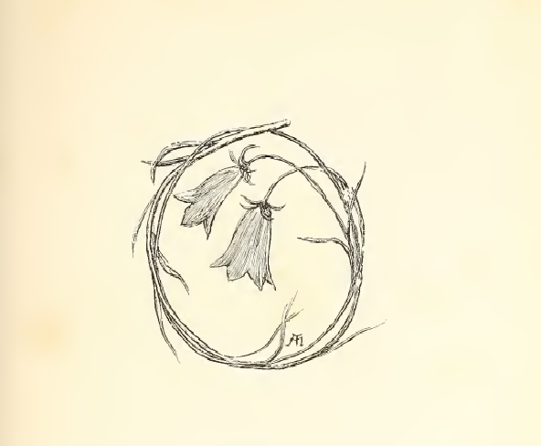 Hope is like a harebell