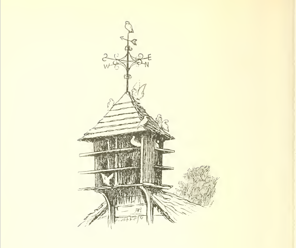 The summer nights are short