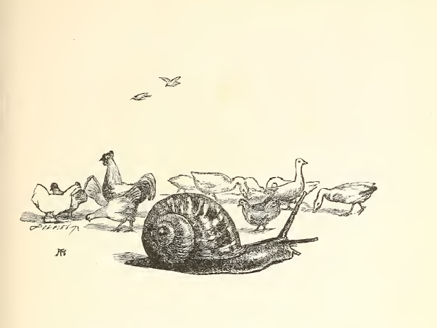 Swift and sure the swallow