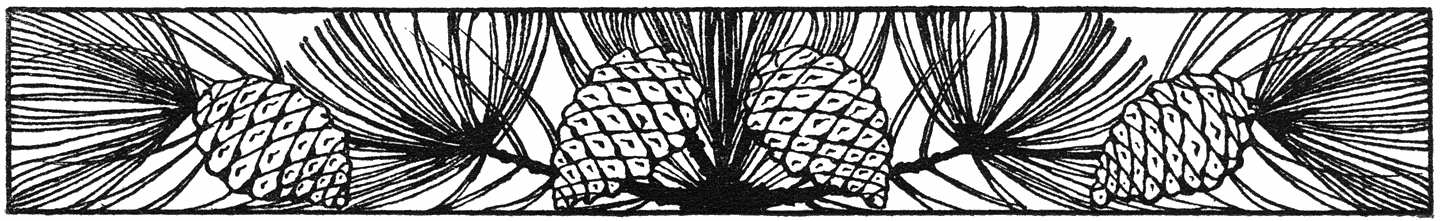 Ornament met denneappels.