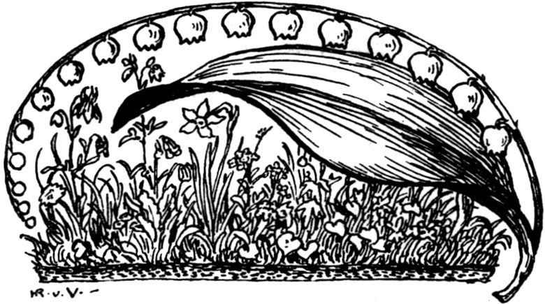 Eine dicht bewachsene   Blumenwiese mit Maiglöckchen