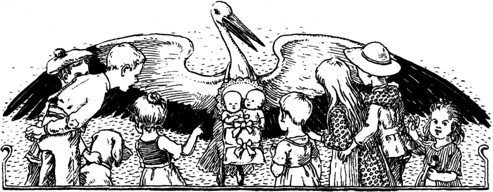 Der Klapperstorch bringt   Zwillinge