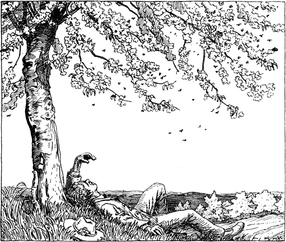 Ein junger Mann liegt im Gras   unter einem blühenden Kirschbaum