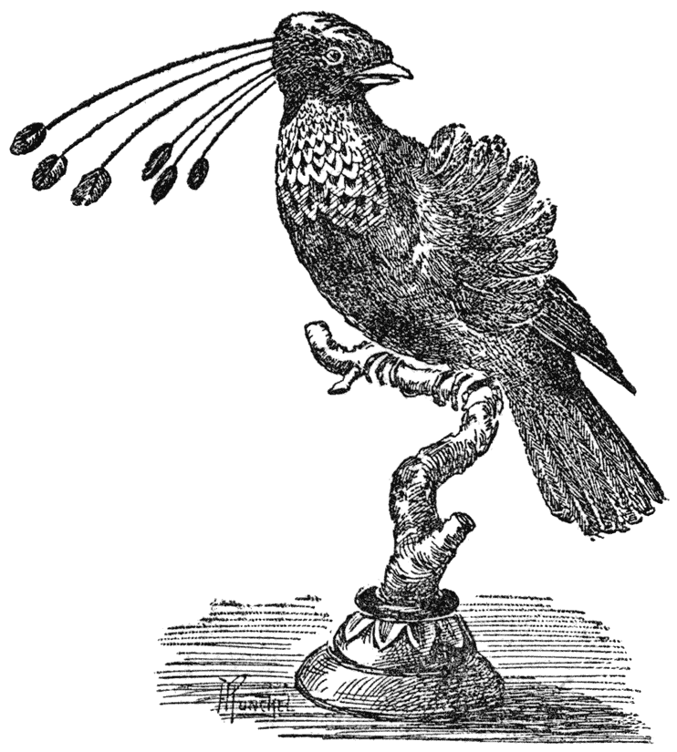 „Zes-pennings-vogel”.