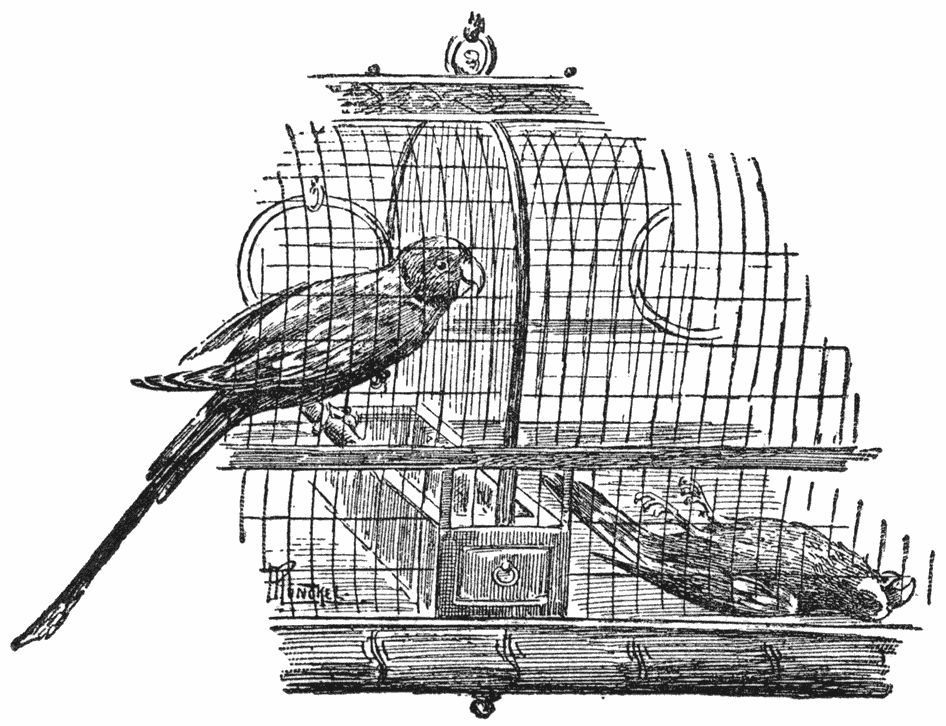 Plokje lag op den rug, met gesloten oogen en de pooten omhoog.