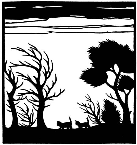 The kittens wandered about in the heavy rain