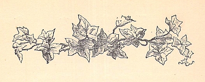 Chapter VI headpiece