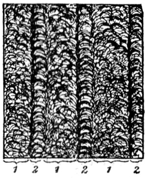 Striped curl pattern