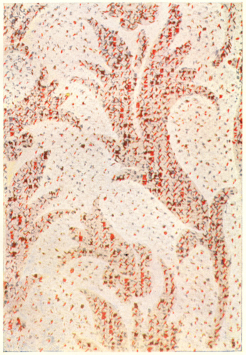 Reversible Knop-twist