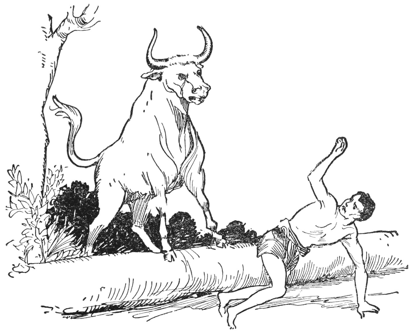 The bush-cow rushed furiously upon him
