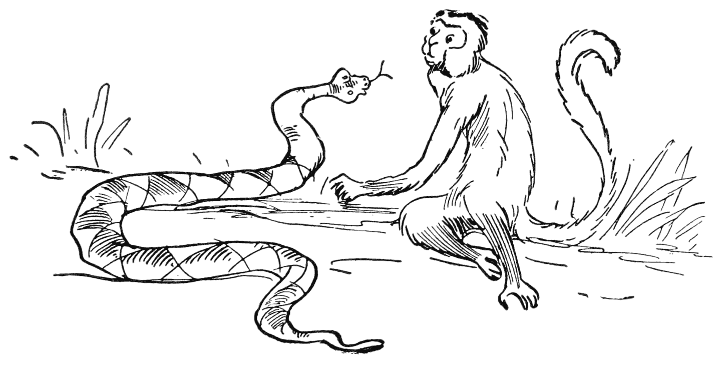 ‘Human beings are queer creatures’